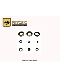 POCHETTE DE JOINTS SPI MOTEUR PSYCHIC KTM SX250 TE250 11/15