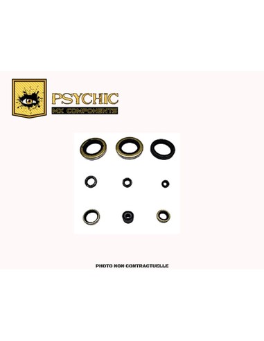POCHETTE DE JOINTS SPI MOTEUR PSYCHIC KTM SX250 TE250 11/15
