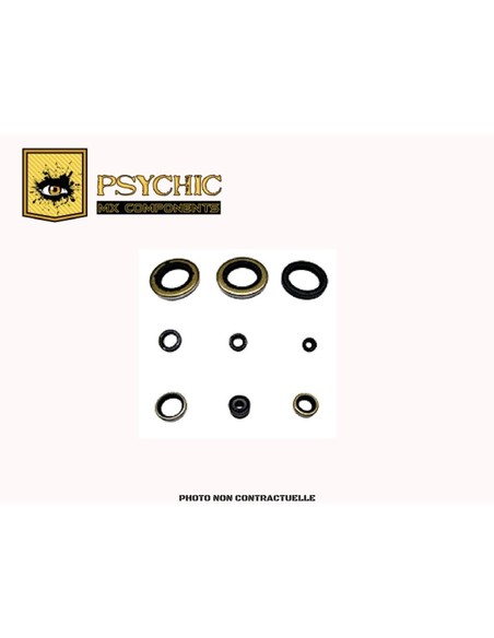 POCHETTE DE JOINTS SPI MOTEUR PSYCHIC KTM SX250 TE250 11/15